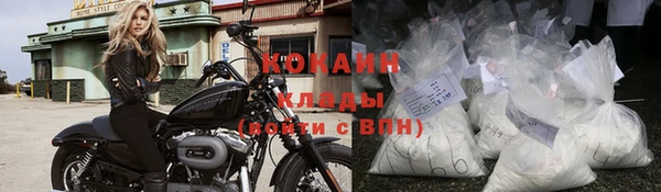 кокс Бородино