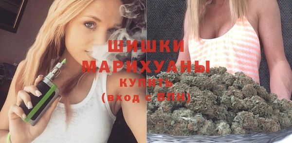 мдпв Бронницы