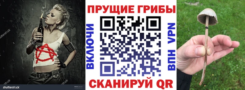 Галлюциногенные грибы ЛСД  Кимовск 