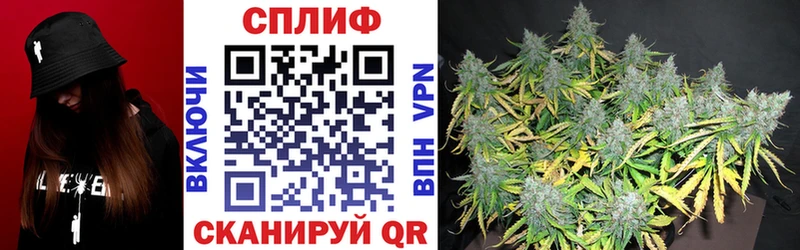Конопля OG Kush  ОМГ ОМГ   Кимовск 